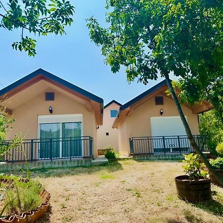 S&M Apartments Rijeka Crnojevića Εξωτερικό φωτογραφία