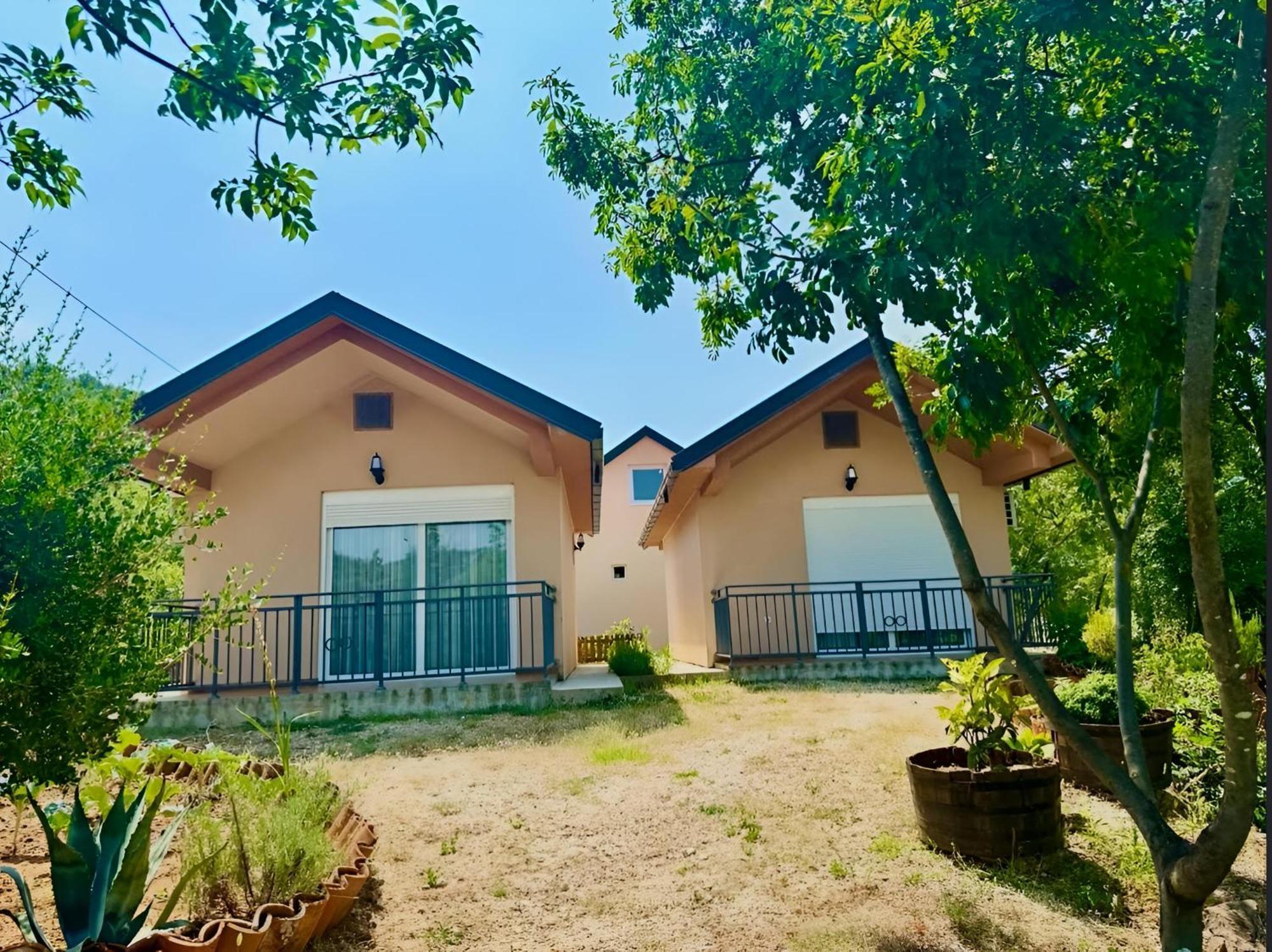 S&M Apartments Rijeka Crnojevića Εξωτερικό φωτογραφία